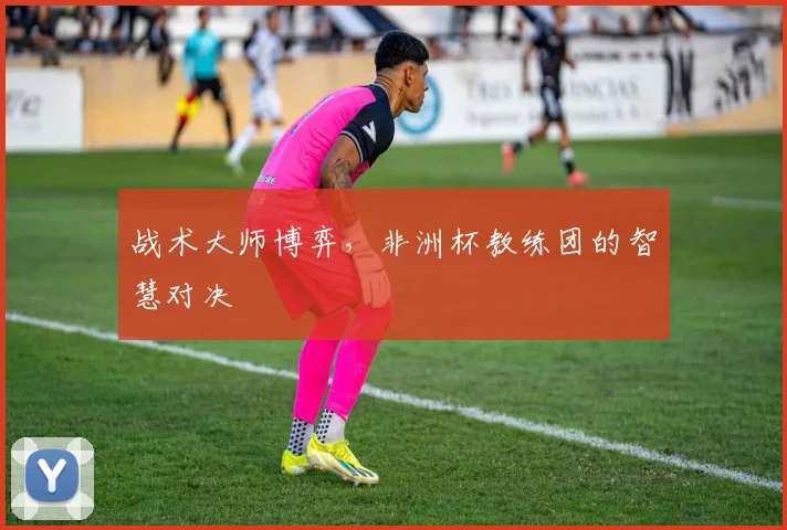 战术大师博弈,非洲杯教练团的智慧对决